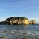 Screenshot 2026 02 23 at 11.31.04 AM