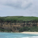 Screenshot 2026 02 23 at 11.31.36 AM