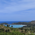 Screenshot 2026 02 24 at 2.33.17 PM