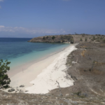 Screenshot 2026 02 26 at 11.14.05 AM