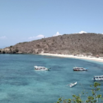 Screenshot 2026 02 26 at 11.14.15 AM