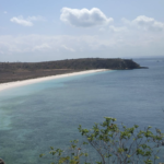 Screenshot 2026 02 26 at 11.14.37 AM