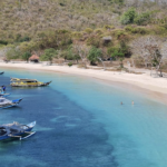 Screenshot 2026 02 26 at 11.14.58 AM