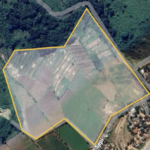 Screenshot 2026 02 26 at 11.49.02 AM