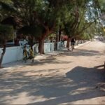 WhatsApp Image 2025 07 25 at 11.44.15 (1)