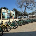 WhatsApp Image 2025 07 25 at 11.44.16