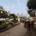 WhatsApp Image 2025 07 25 at 11.44.17 (1)