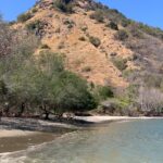 WhatsApp Image 2025 12 11 at 14.48.05 (2)