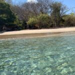 WhatsApp Image 2025 12 11 at 14.48.06 (1)