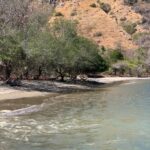 WhatsApp Image 2025 12 11 at 14.48.06