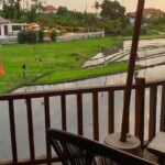 WhatsApp Image 2025 12 29 at 11.03.18 (1)